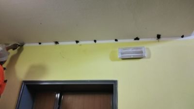 Lavori sismico scuola