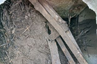 IMG-20260417-WA0003