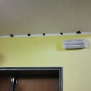 Lavori sismico scuola