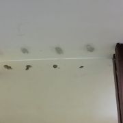 Lavori sismico_scuola