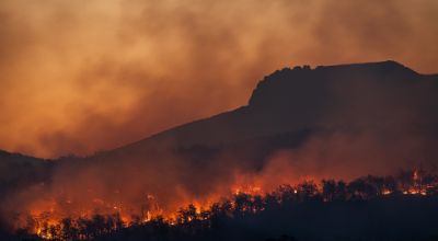 incendi in natura incendi in natura